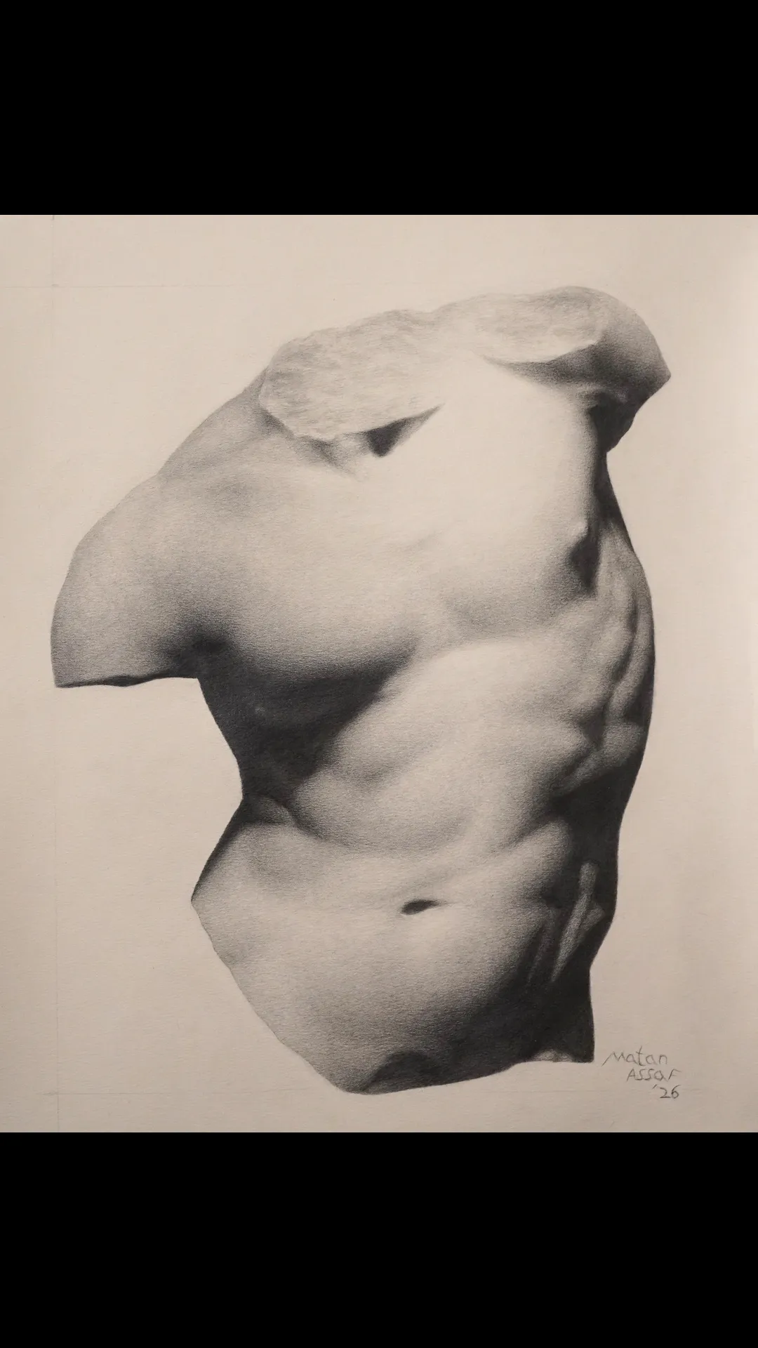 Torso Gaddi pencil study Greek sculpture